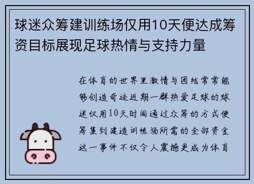球迷众筹建训练场仅用10天便达成筹资目标展现足球热情与支持力量